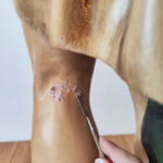 Sellado de grietas y fisuras